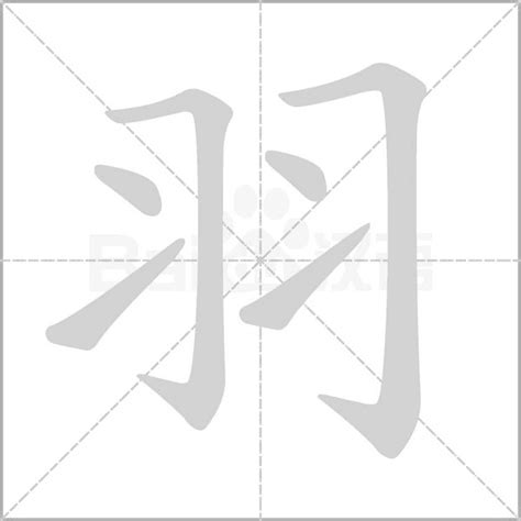 羽字邊的字|羽部首所有汉字